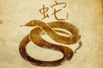 Gyvatė zodiako ženklo savybės